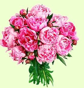 Blumenversand